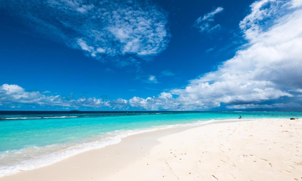 Blue World Dharavandhoo Ngoại thất bức ảnh